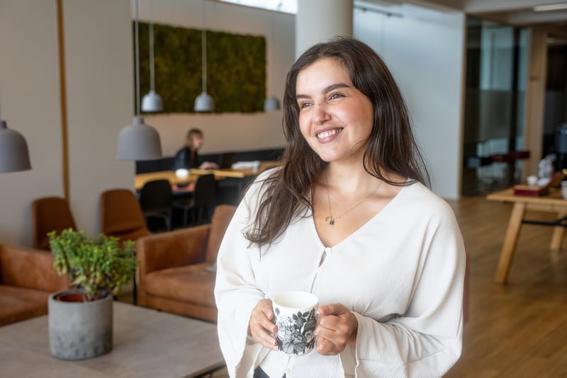 KuvitusH125-122 (1)-effectapp